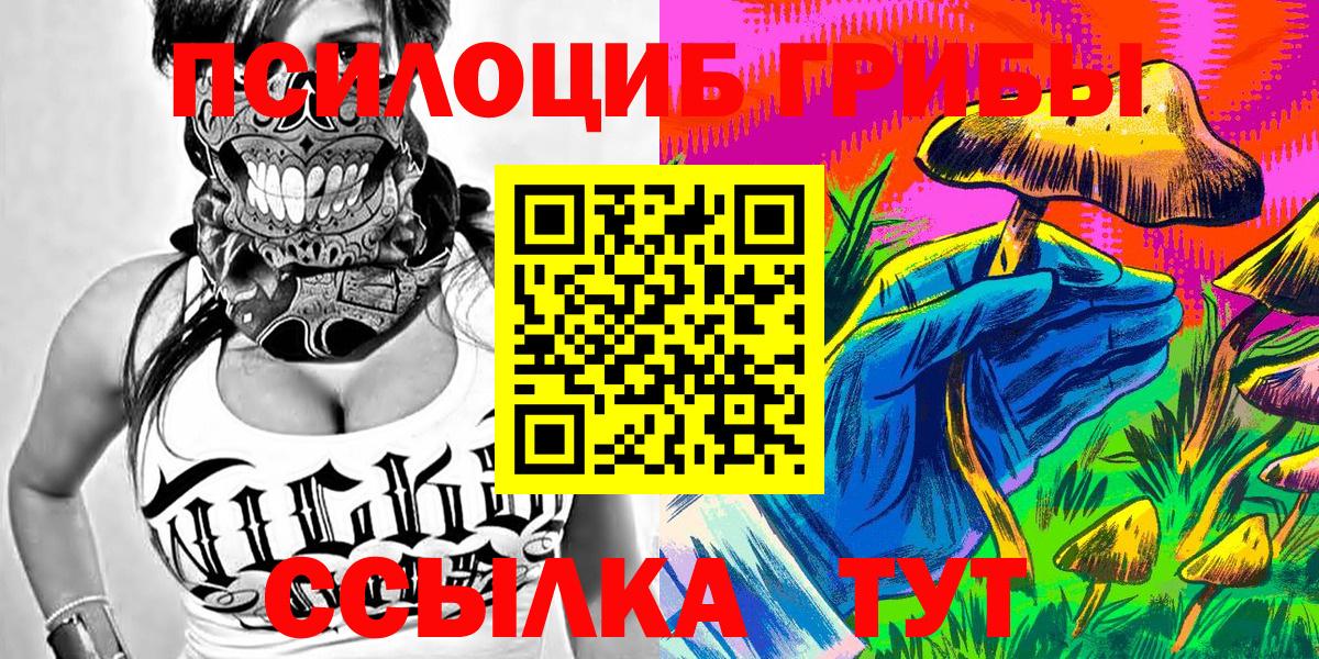Галлюциногенные грибы мицелий Похвистнево