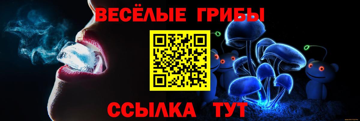 купить наркотики цена  Псилоцибиновые грибы MAGIC MUSHROOMS  Вход с VPN  Похвистнево 